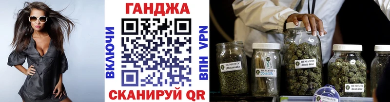 продажа наркотиков  Петропавловск-Камчатский  гидра tor  Шишки марихуана индика 